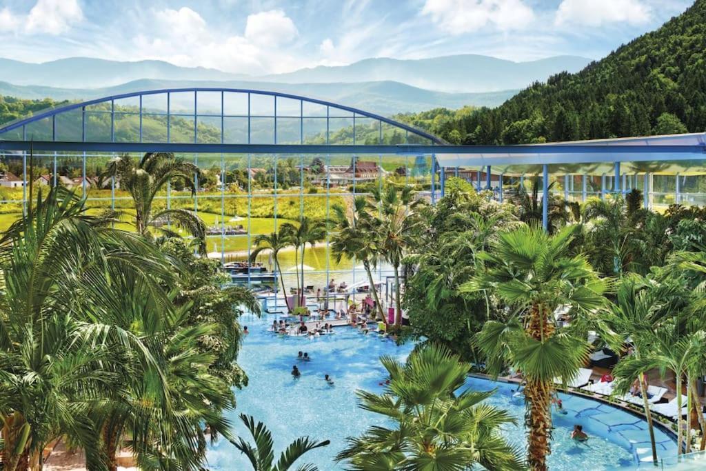 Apartamento Sieben Tannen Titisee + Hochschwarzwald Card Exterior foto