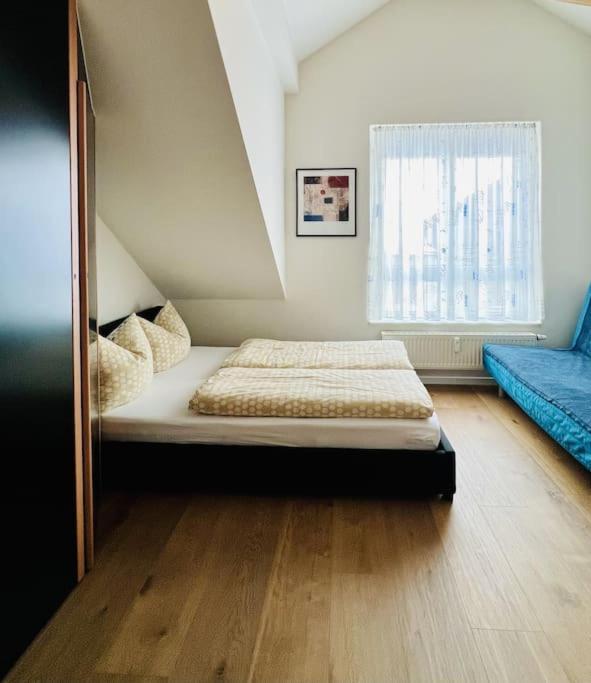 Apartamento Sieben Tannen Titisee + Hochschwarzwald Card Exterior foto