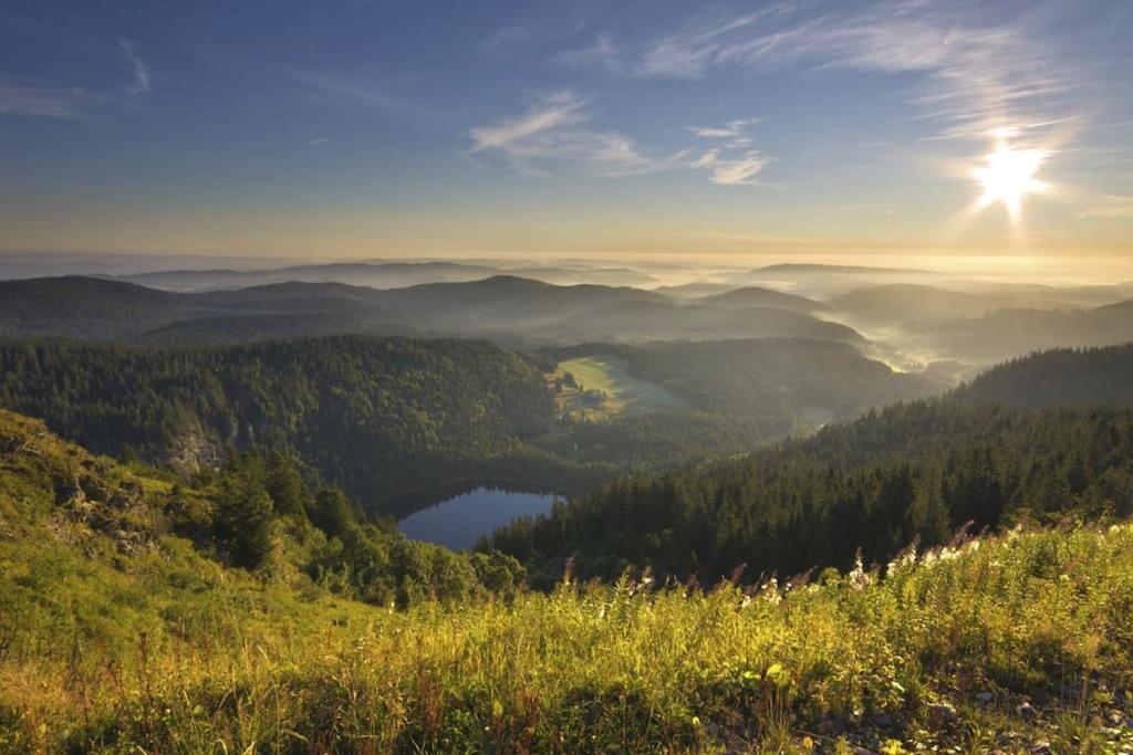 Apartamento Sieben Tannen Titisee + Hochschwarzwald Card Exterior foto